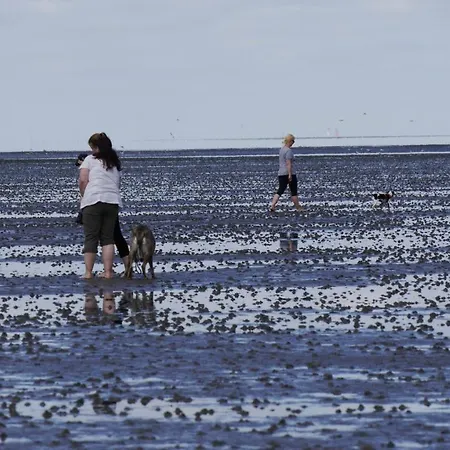 Bootsmann アパート *