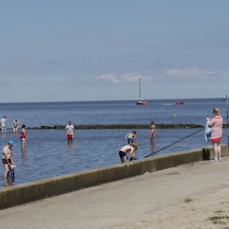 Bootsmann ドルム・ノイフェルト