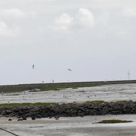 Bootsmann * Dorumer Neufeld