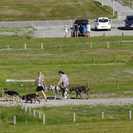 Bootsmann Apartment Dorumer Neufeld