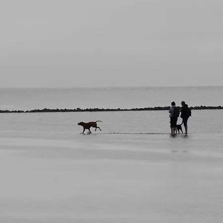 アパート Bootsmann ドルム・ノイフェルト