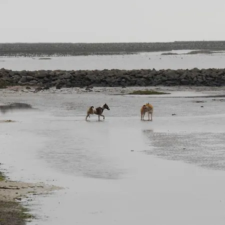 Bootsmann アパート