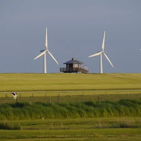 Bootsmann * Dorumer Neufeld