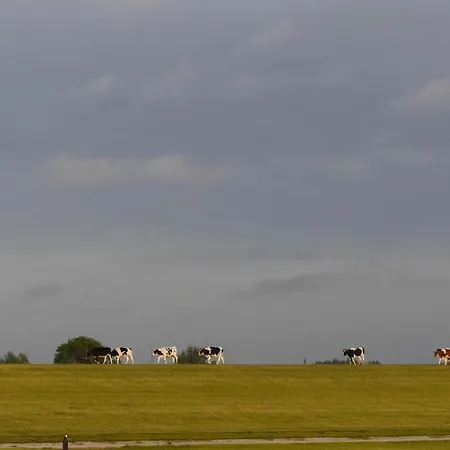 アパート Bootsmann ドルム・ノイフェルト