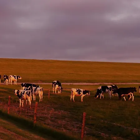 Bootsmann ドルム・ノイフェルト