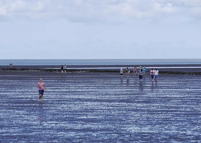 Bootsmann * דורום נויפלד