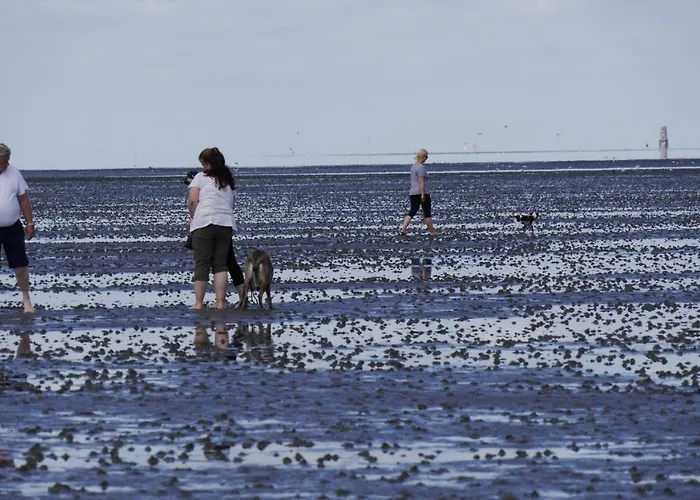 Bootsmann דירה *