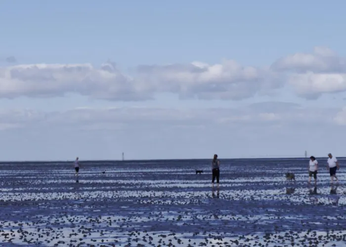 Bootsmann * דורום נויפלד