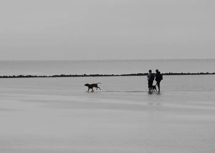 דירה Bootsmann דורום נויפלד