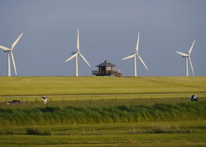 Bootsmann * דורום נויפלד