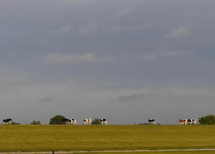 דירה Bootsmann דורום נויפלד