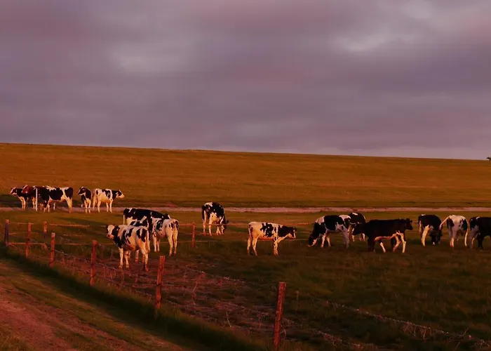 Bootsmann דורום נויפלד